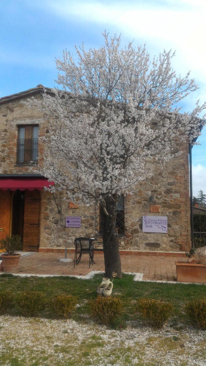 Country House La Fattoria Bellandi Contignano Екстер'єр фото